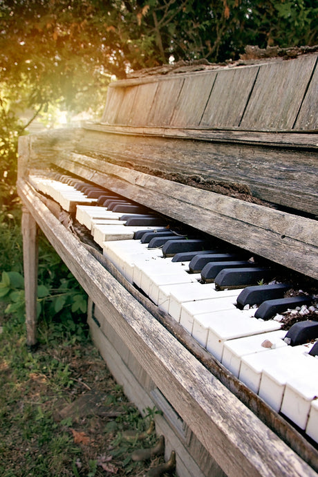 Photographic Print:  The music lives on